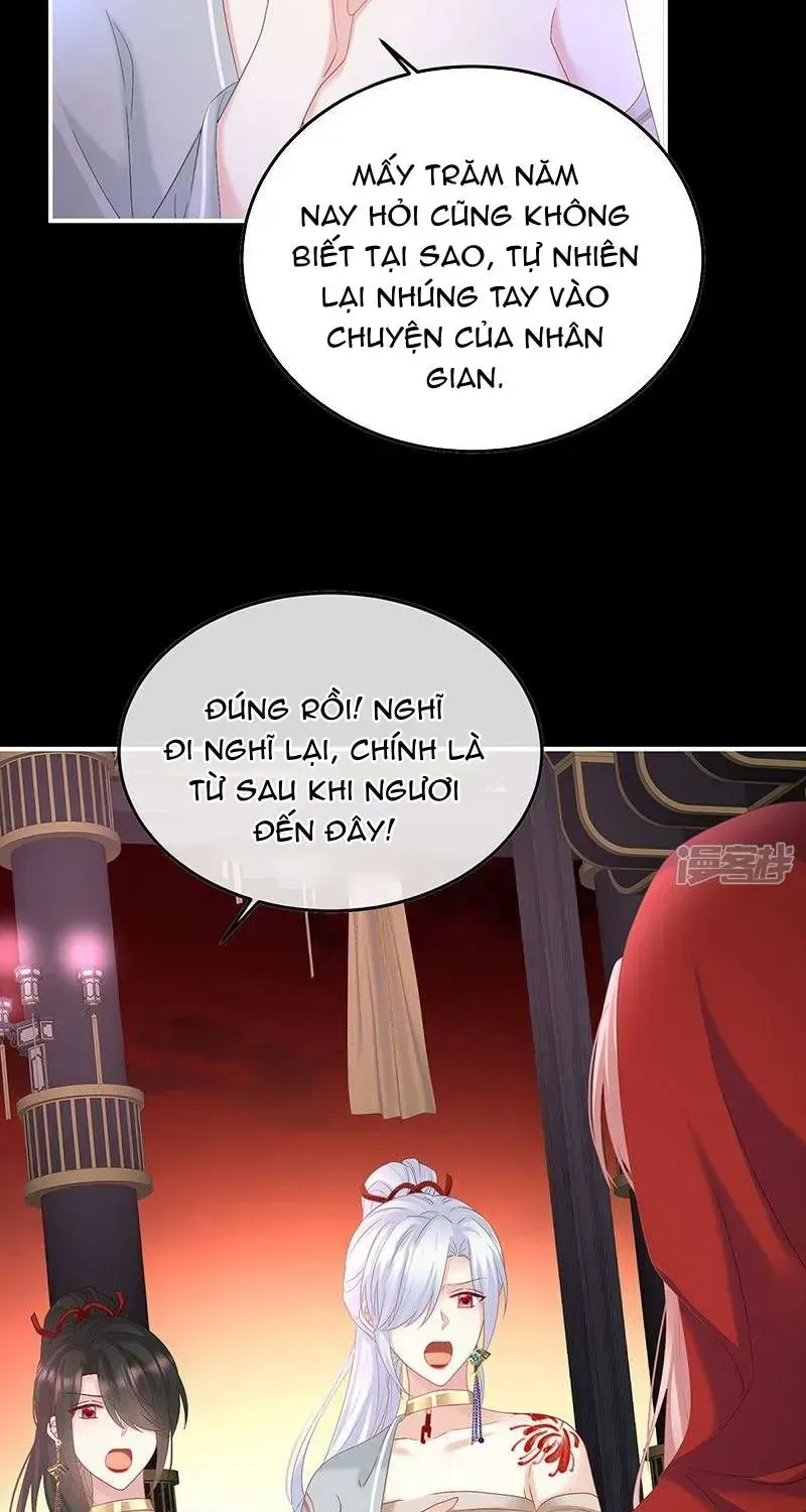 Kiều Phu Có Hỉ Chap 133 - Next Chap 134