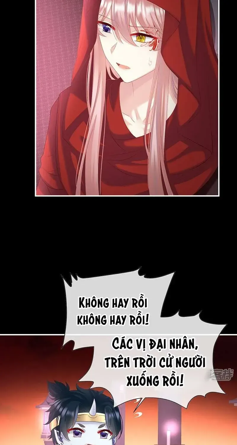 Kiều Phu Có Hỉ Chap 133 - Next Chap 134