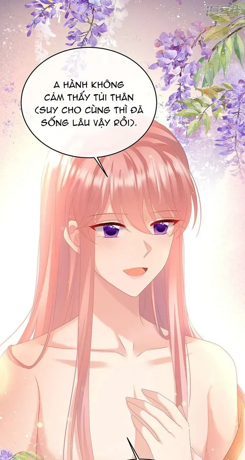 Kiều Phu Có Hỉ Chap 137 - Next Chap 138