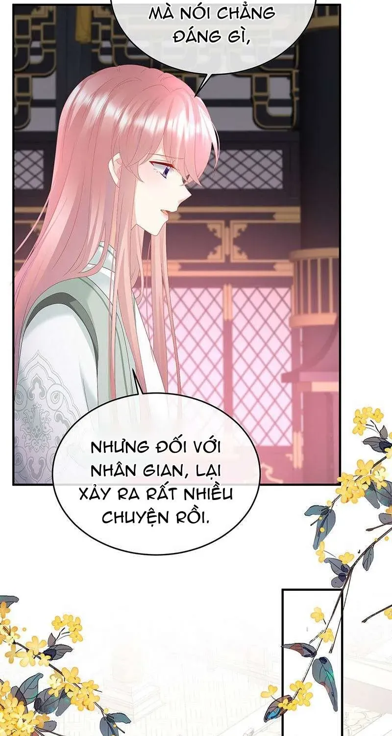 Kiều Phu Có Hỉ Chap 146 - Next Chap 147