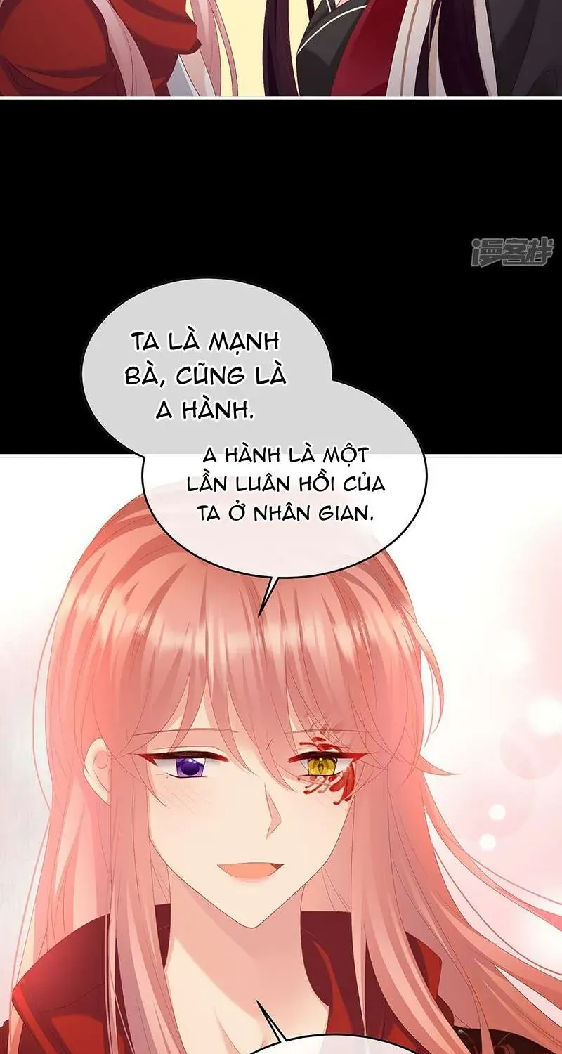 Kiều Phu Có Hỉ Chap 147 - Next Chap 148