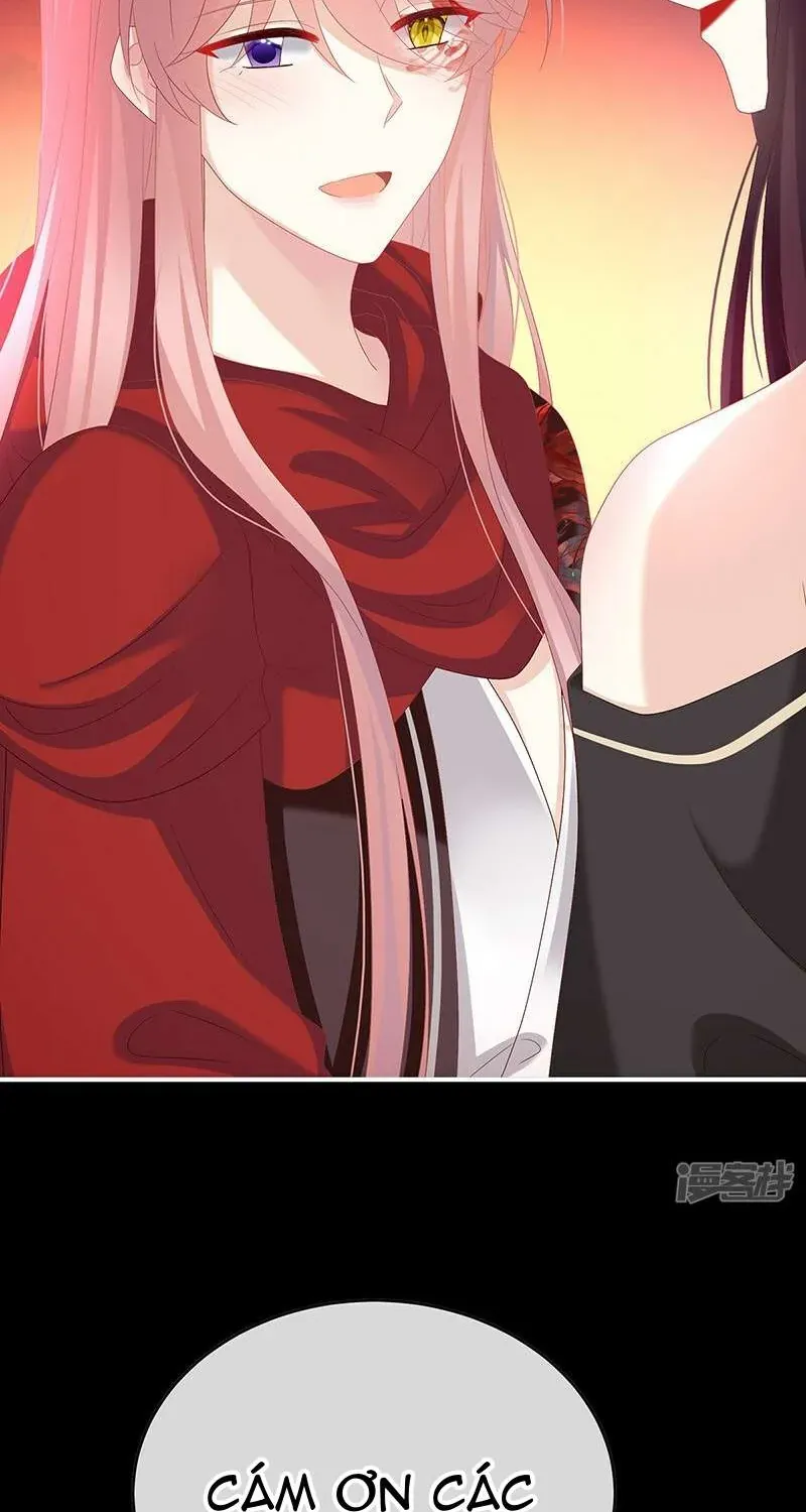 Kiều Phu Có Hỉ Chap 147 - Next Chap 148