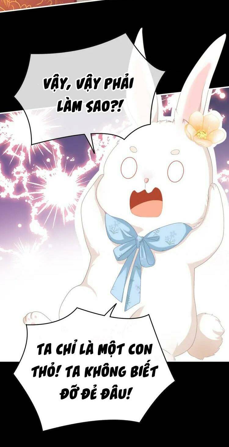 Kiều Phu Có Hỉ Chap 58 - Next Chap 59