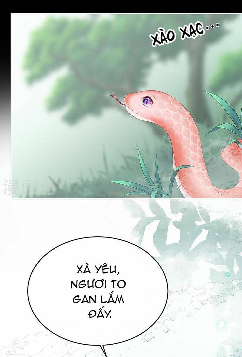 Kiều Phu Có Hỉ Chap 67 - Next Chap 68