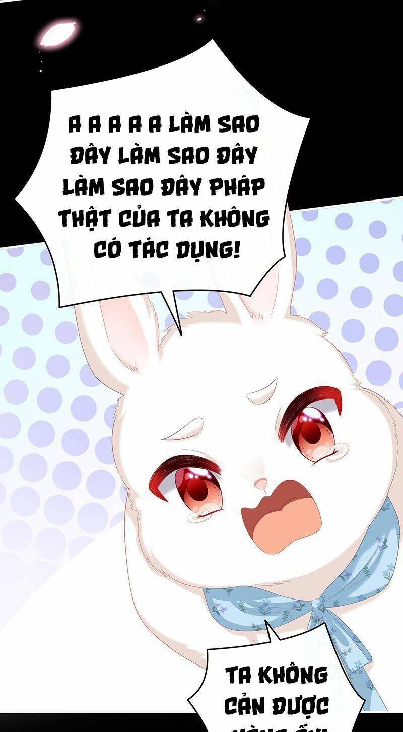 Kiều Phu Có Hỉ Chap 67 - Next Chap 68