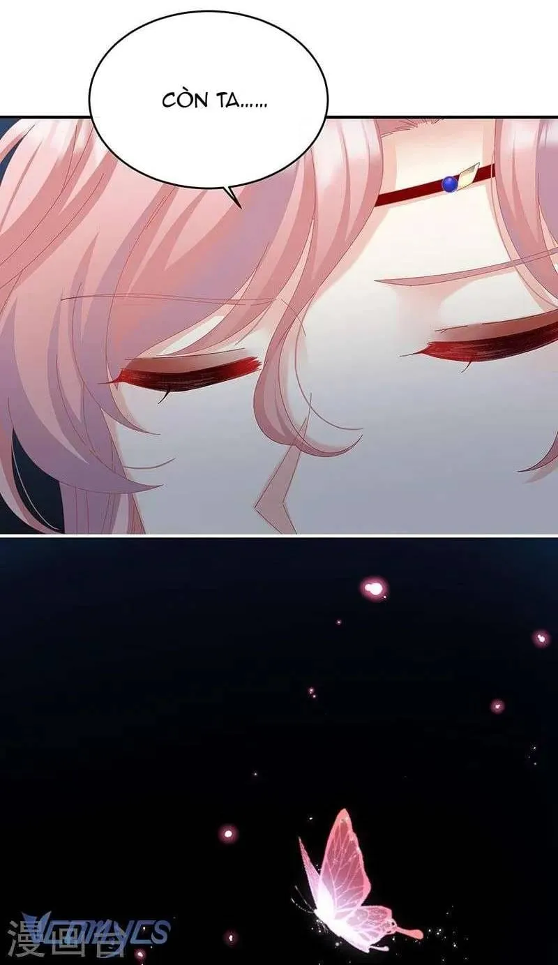 Kiều Phu Có Hỉ Chap 70 - Next Chap 71