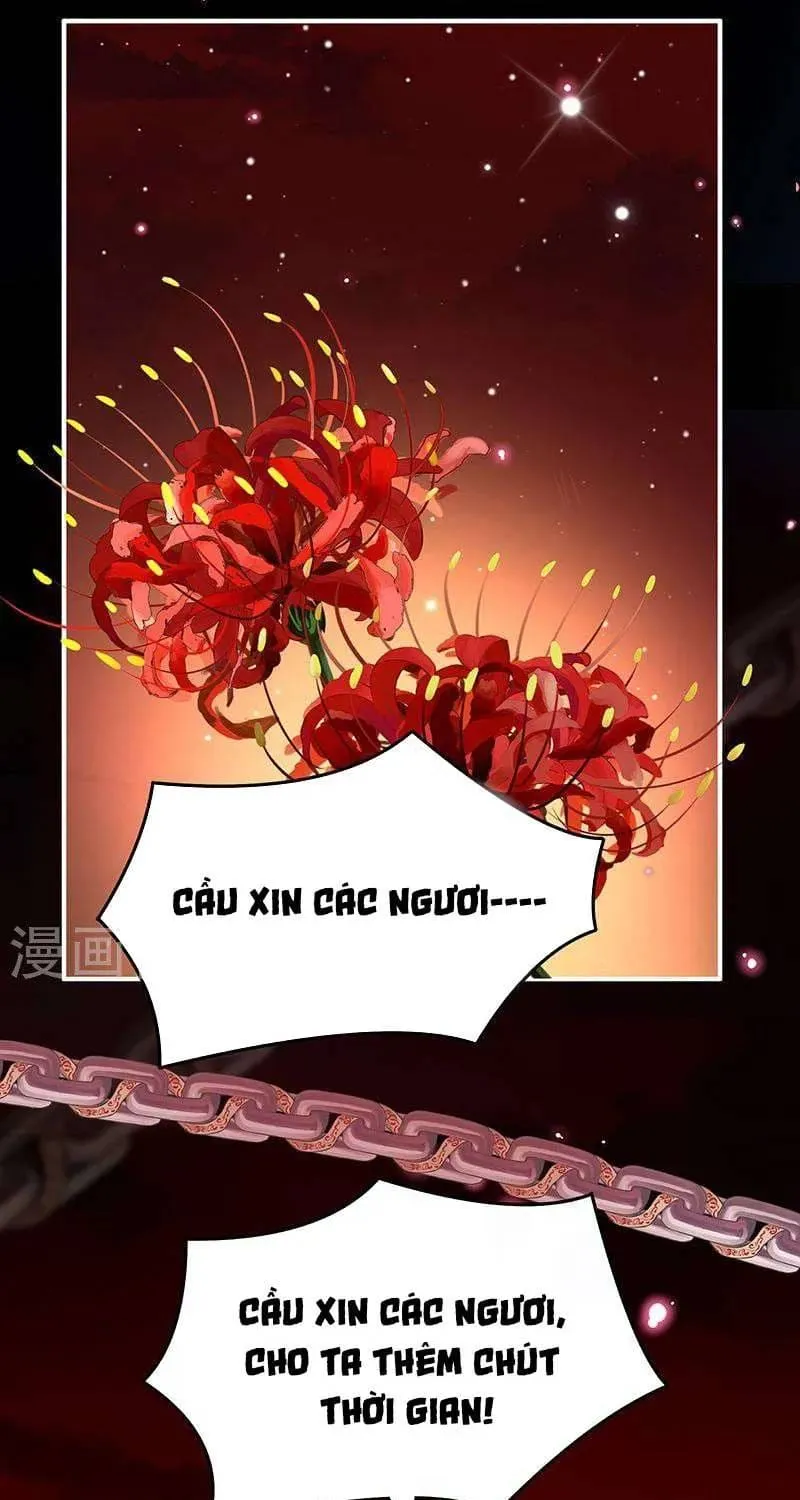 Kiều Phu Có Hỉ Chap 70 - Next Chap 71
