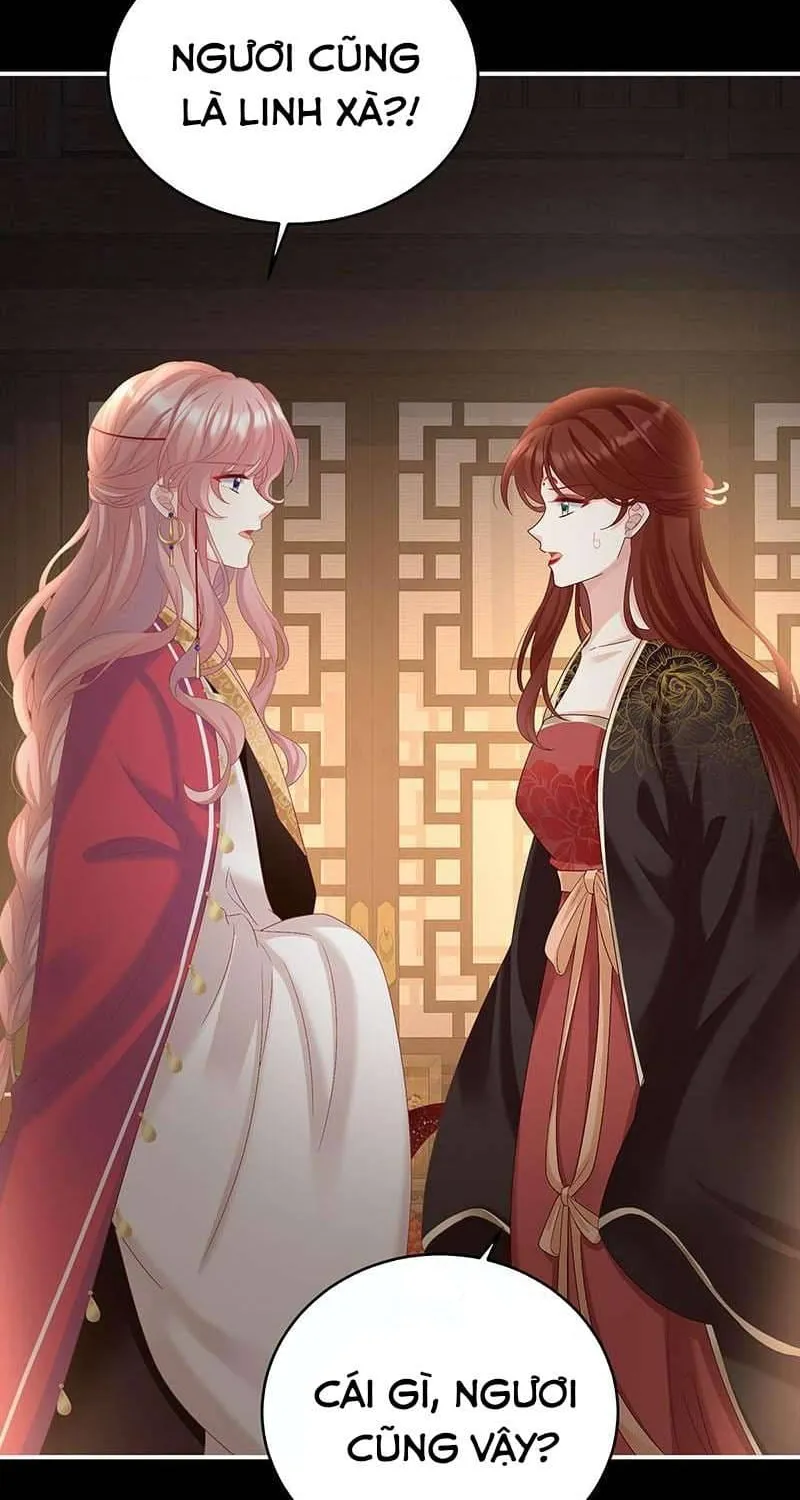 Kiều Phu Có Hỉ Chap 71 - Next Chap 72