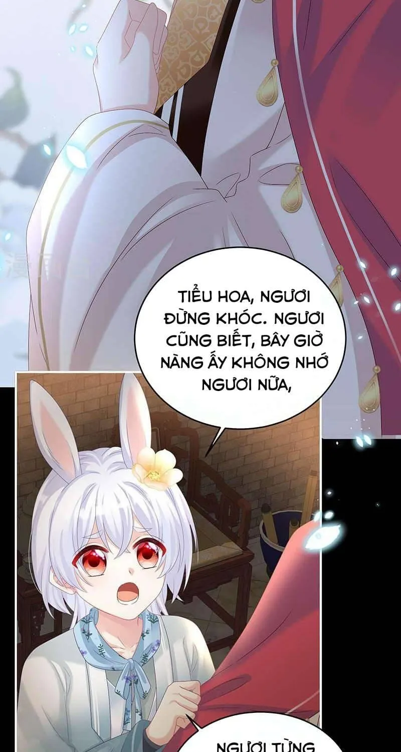 Kiều Phu Có Hỉ Chap 72 - Next Chap 73