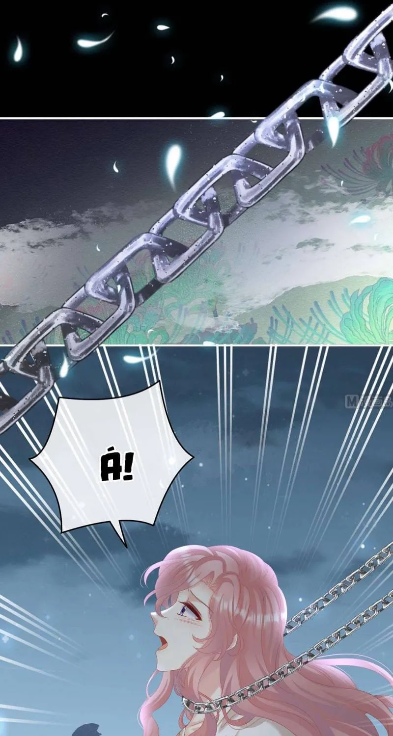 Kiều Phu Có Hỉ Chap 74 - Next Chap 75