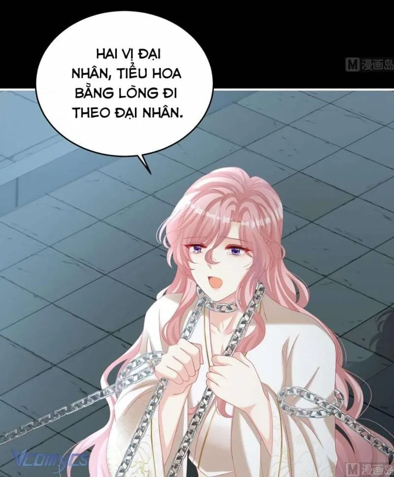 Kiều Phu Có Hỉ Chap 74 - Next Chap 75