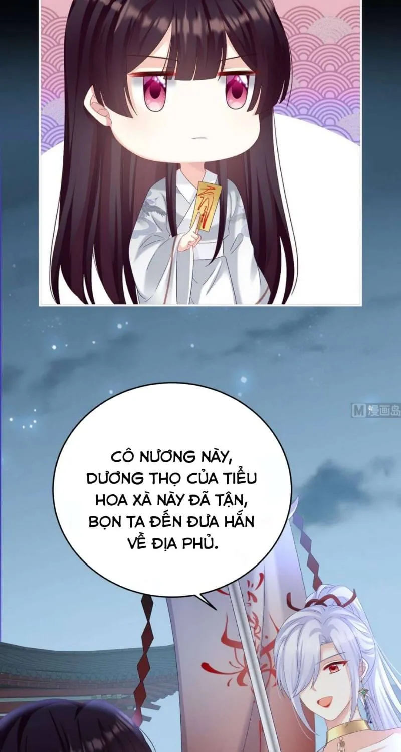 Kiều Phu Có Hỉ Chap 74 - Next Chap 75
