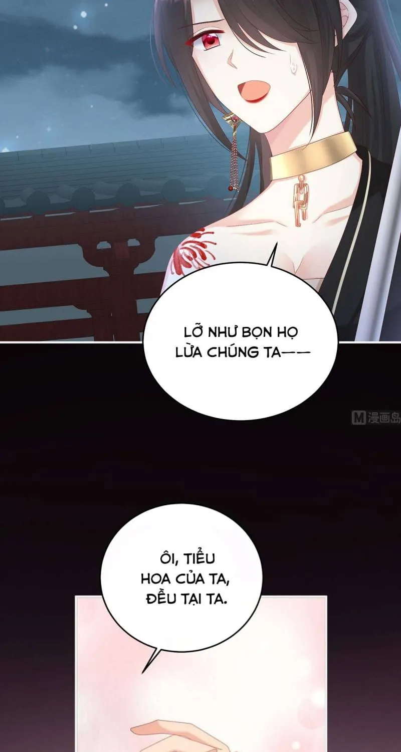 Kiều Phu Có Hỉ Chap 75 - Next Chap 76