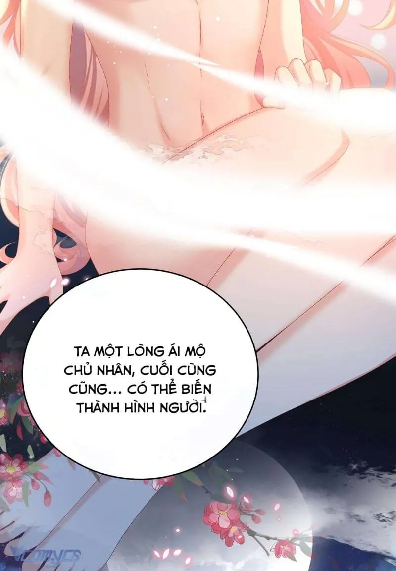 Kiều Phu Có Hỉ Chap 77 - Next Chap 78
