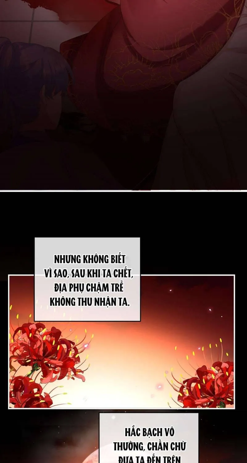 Kiều Phu Có Hỉ Chap 77 - Next Chap 78