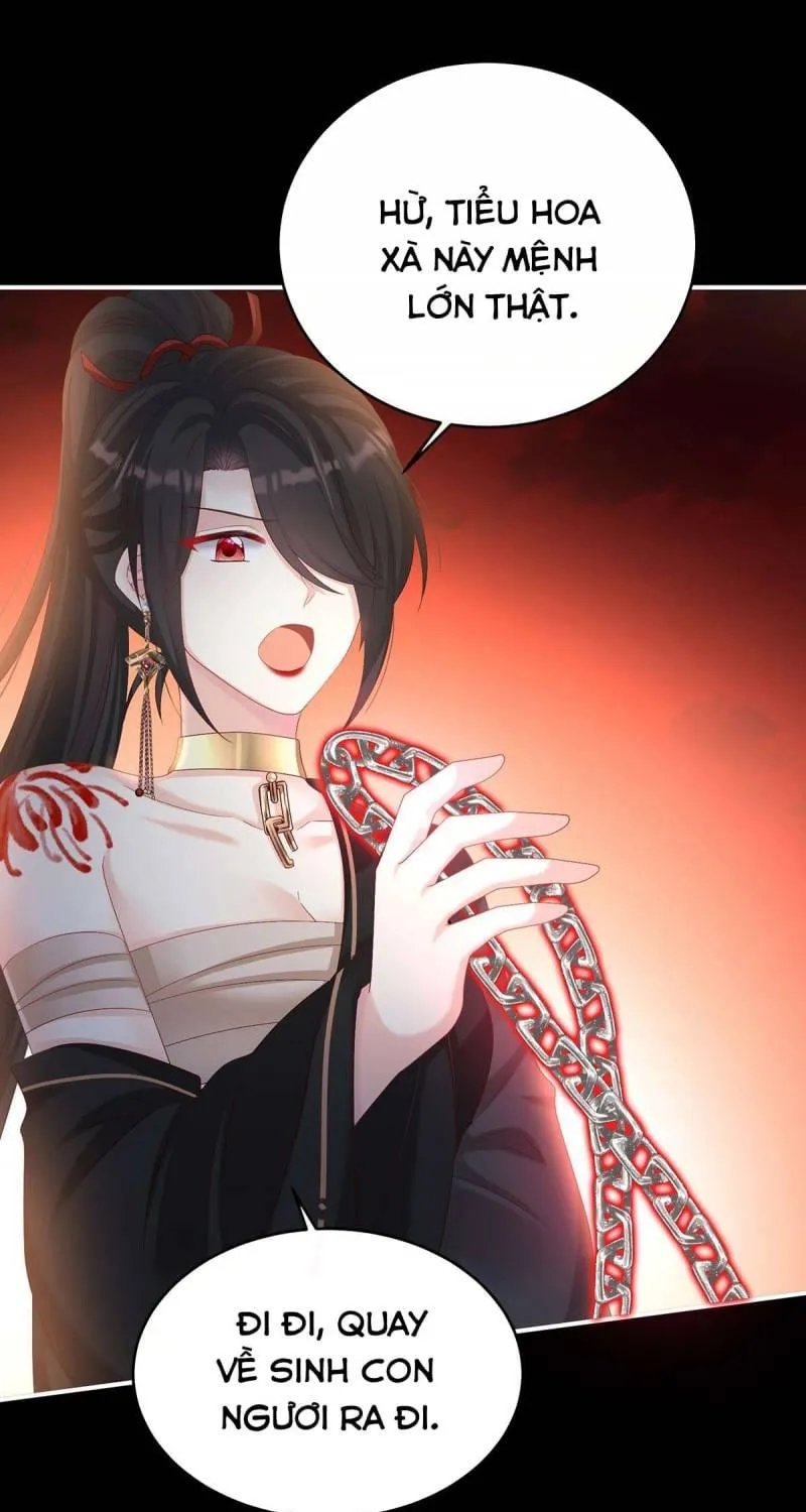 Kiều Phu Có Hỉ Chap 77 - Next Chap 78