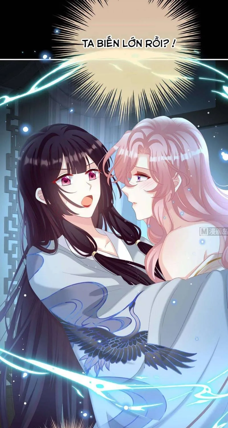 Kiều Phu Có Hỉ Chap 79 - Next Chap 80