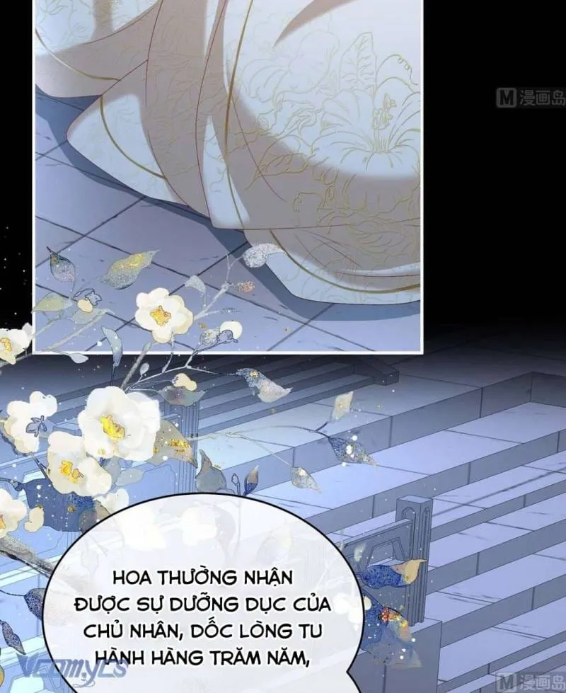 Kiều Phu Có Hỉ Chap 81 - Next Chap 82