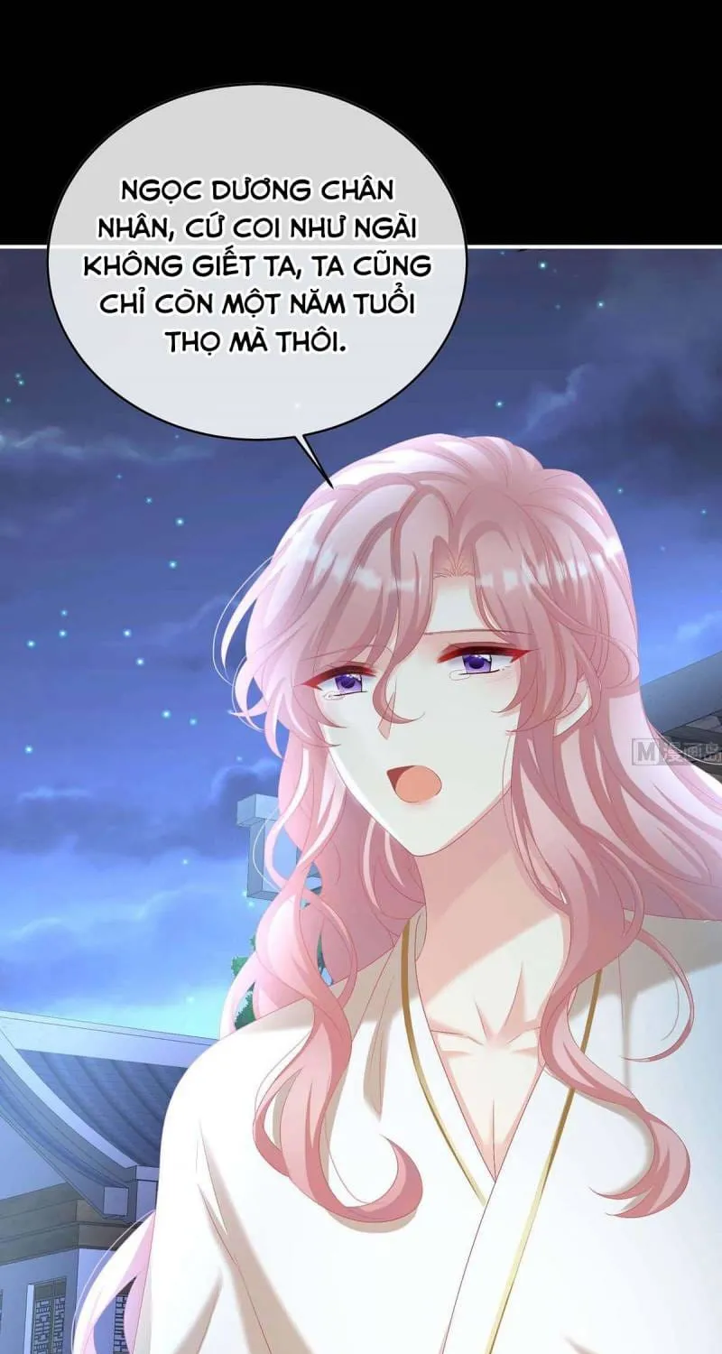 Kiều Phu Có Hỉ Chap 81 - Next Chap 82