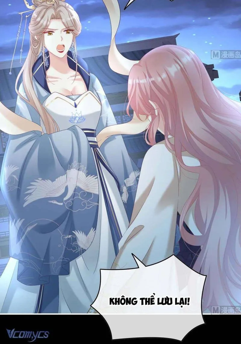 Kiều Phu Có Hỉ Chap 81 - Next Chap 82