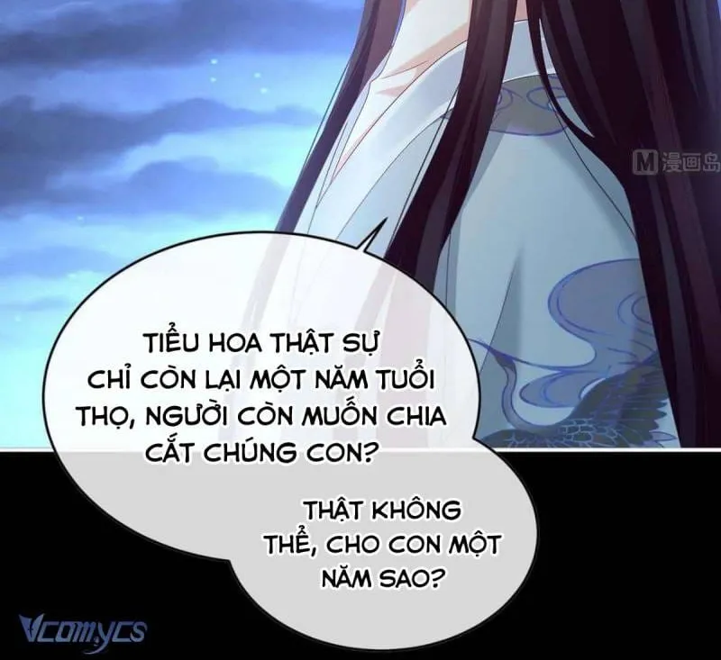 Kiều Phu Có Hỉ Chap 81 - Next Chap 82