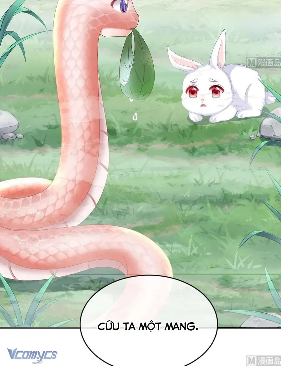 Kiều Phu Có Hỉ Chap 90 - Next Chap 91