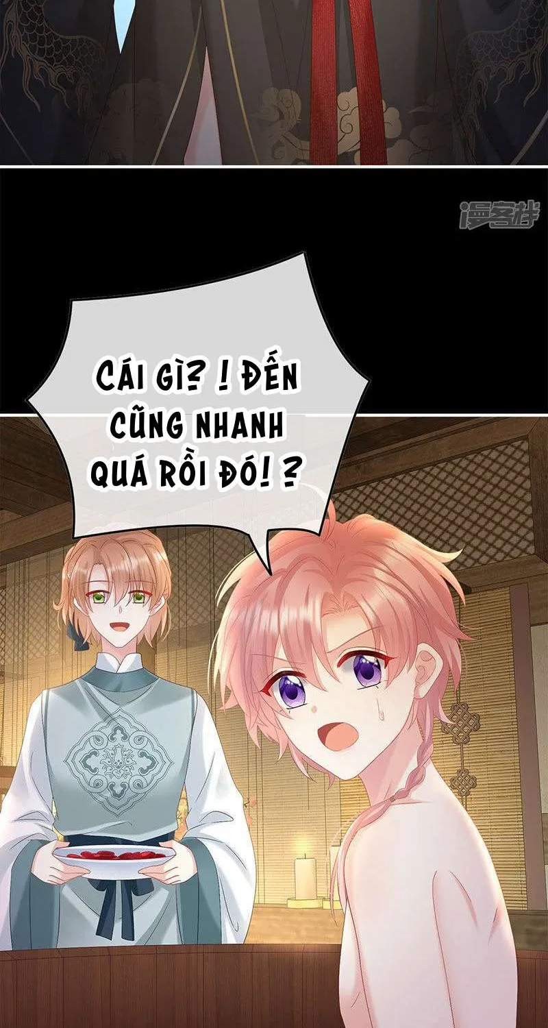 Kiều Phu Có Hỷ Chap 104 - Next Chap 105