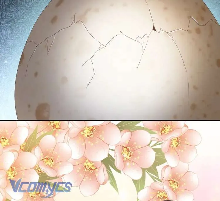 Kiều Phu Có Hỷ Chap 62 - Next Chap 63