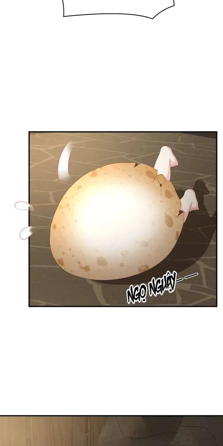 Kiều Phu Có Hỷ Chap 62 - Next Chap 63