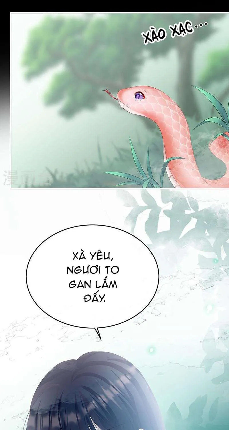 Kiều Phu Có Hỷ Chap 67 - Next Chap 68