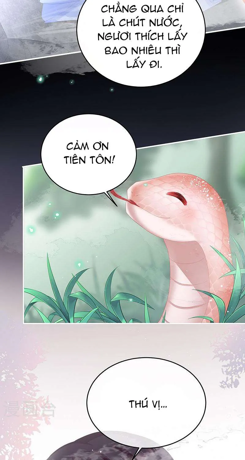 Kiều Phu Có Hỷ Chap 67 - Next Chap 68