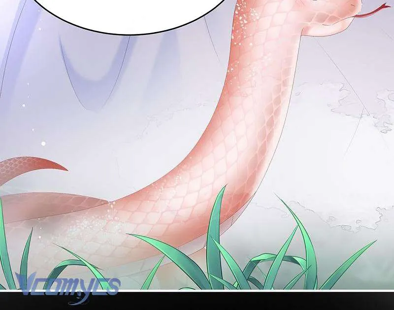 Kiều Phu Có Hỷ Chap 67 - Next Chap 68