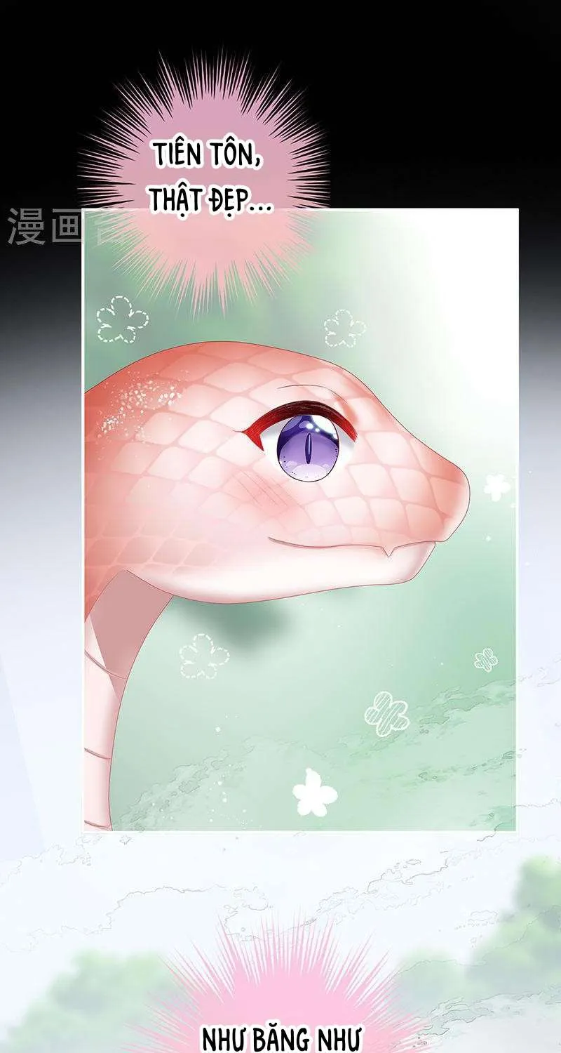 Kiều Phu Có Hỷ Chap 67 - Next Chap 68