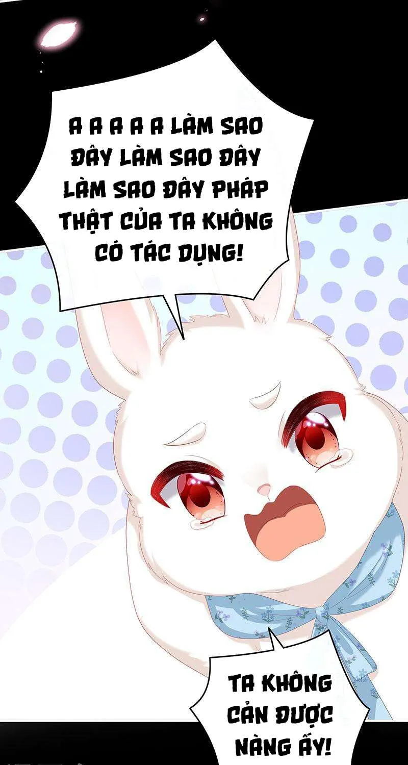 Kiều Phu Có Hỷ Chap 67 - Next Chap 68