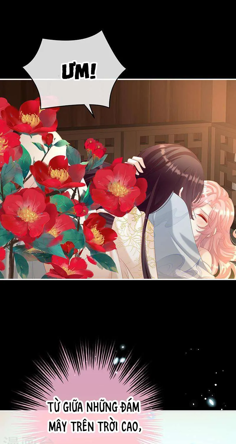 Kiều Phu Có Hỷ Chap 67 - Next Chap 68