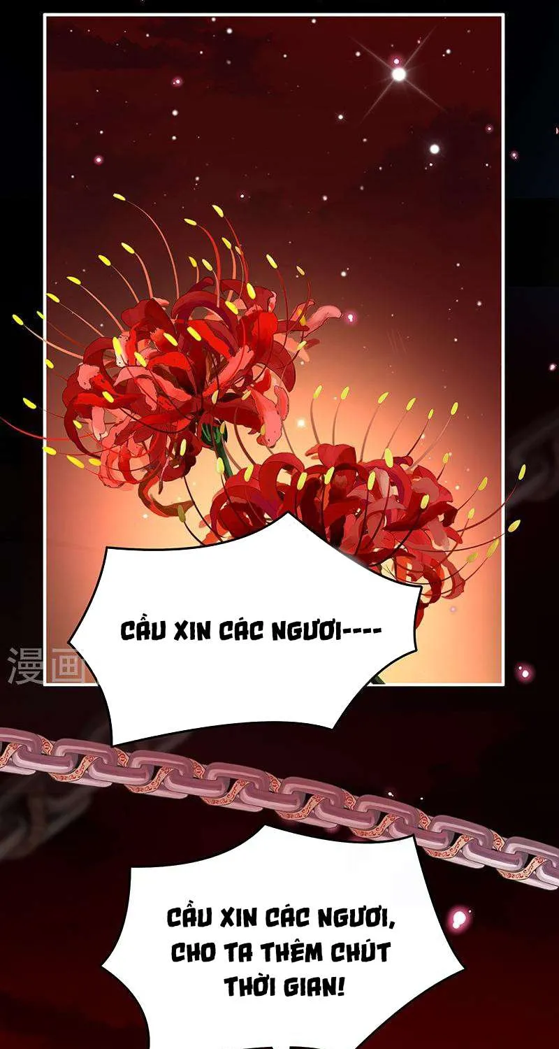 Kiều Phu Có Hỷ Chap 70 - Next Chap 71
