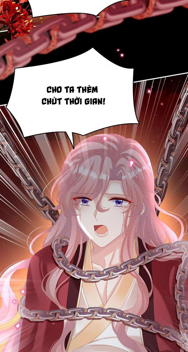 Kiều Phu Có Hỷ Chap 70 - Next Chap 71