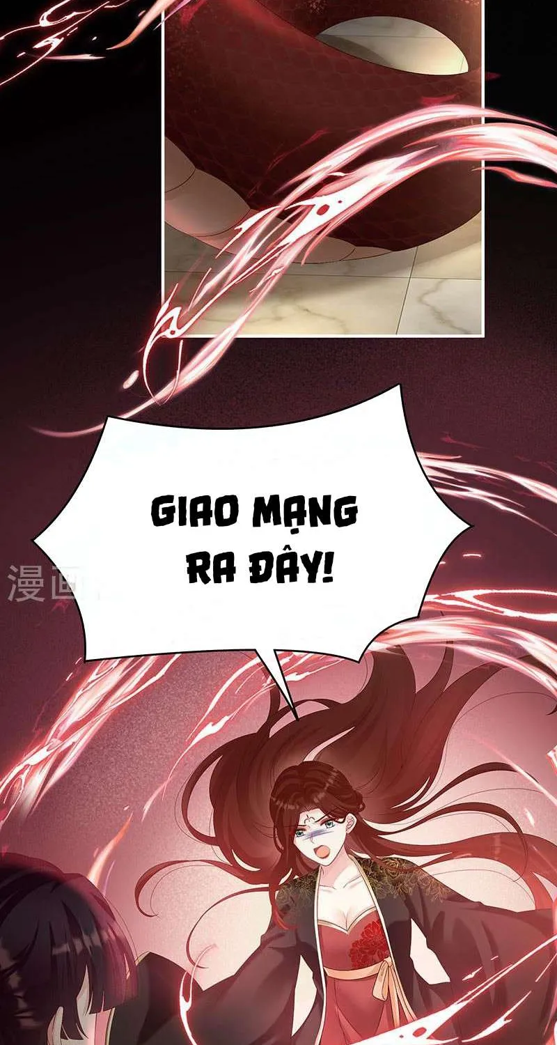 Kiều Phu Có Hỷ Chap 71 - Next Chap 72