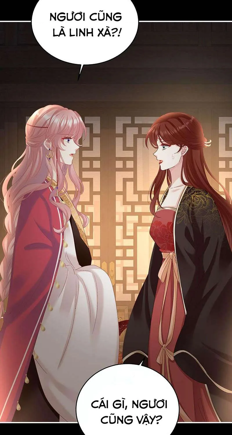 Kiều Phu Có Hỷ Chap 71 - Next Chap 72