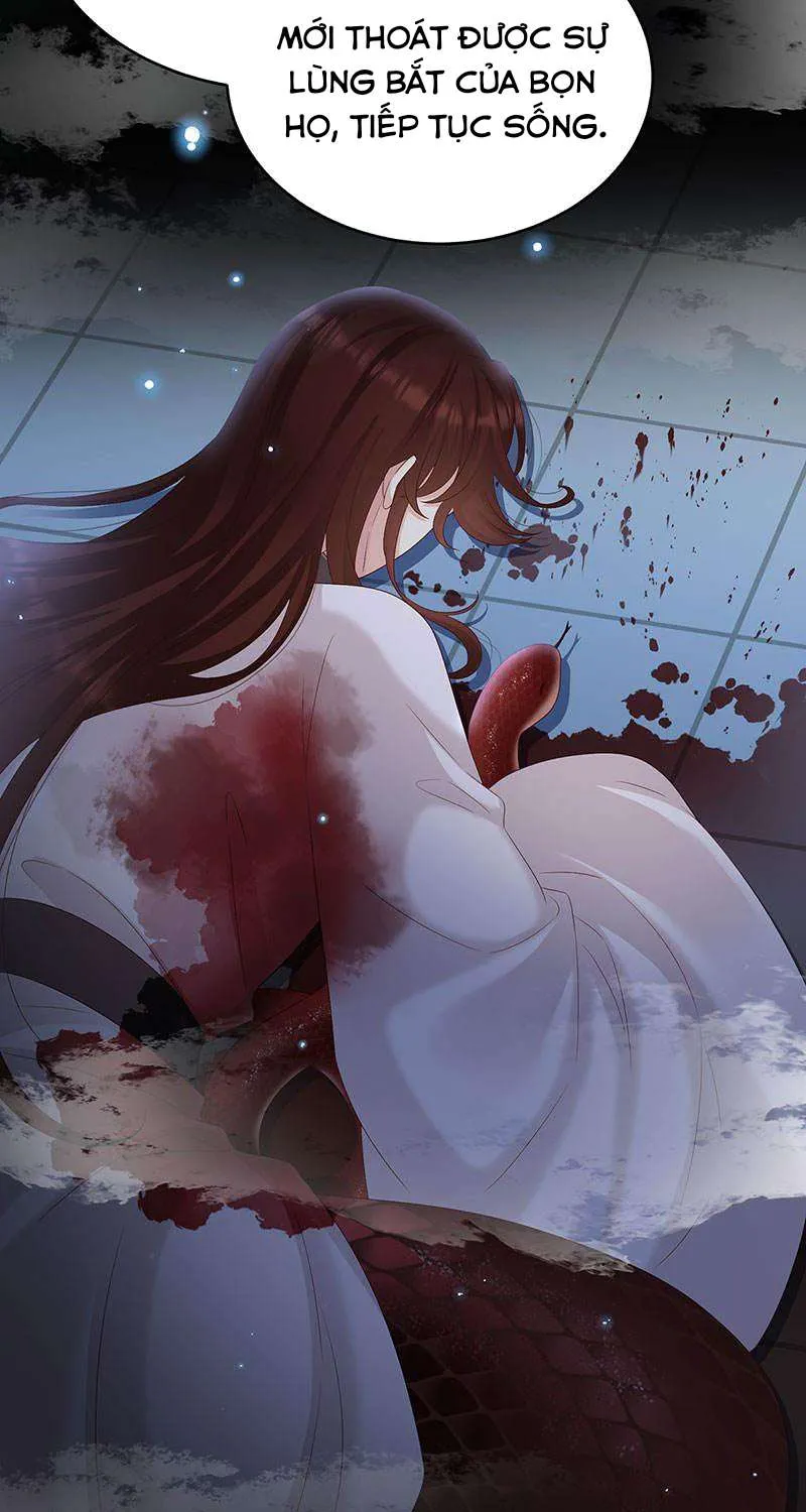 Kiều Phu Có Hỷ Chap 71 - Next Chap 72