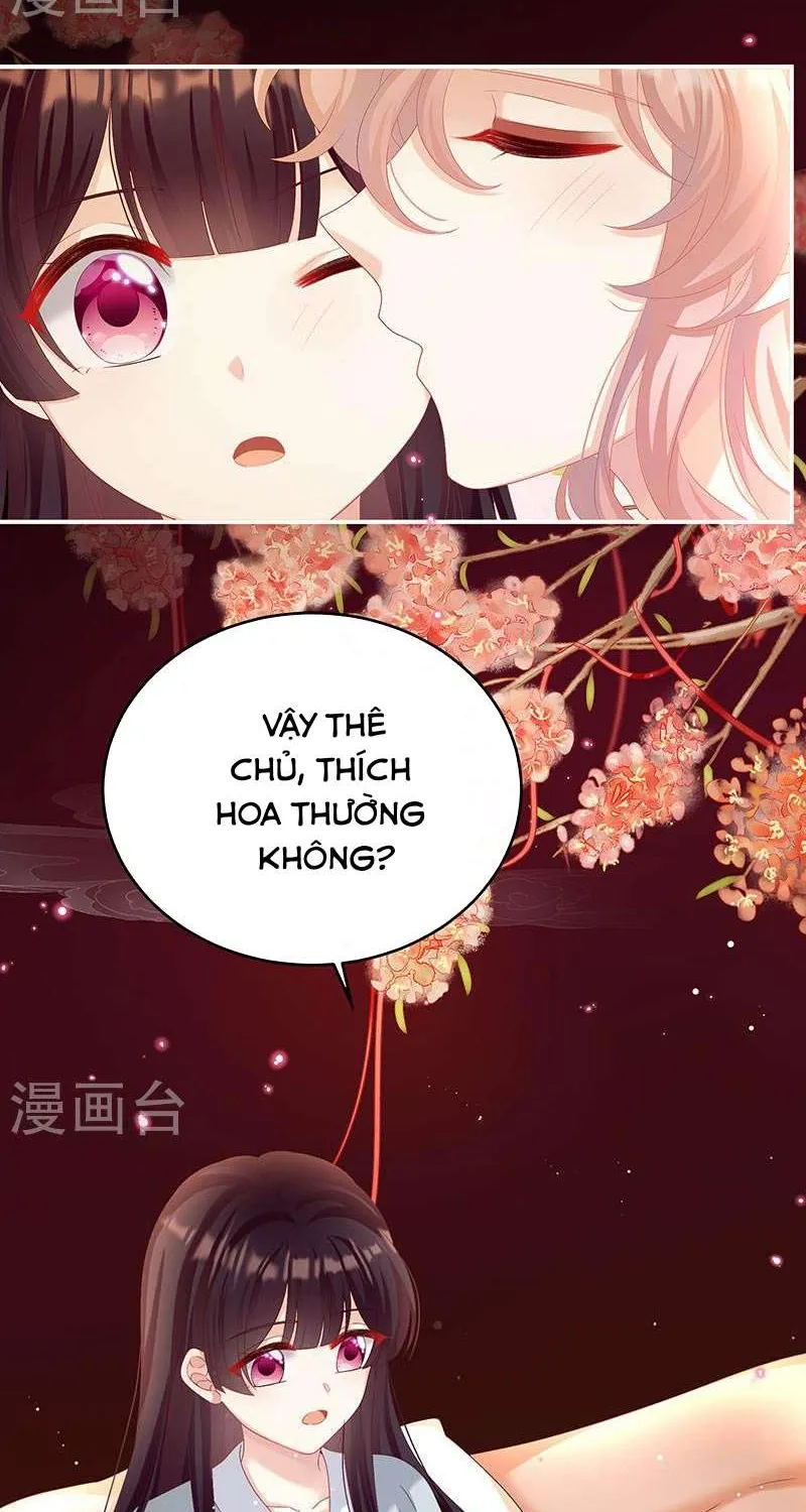 Kiều Phu Có Hỷ Chap 72 - Next Chap 73