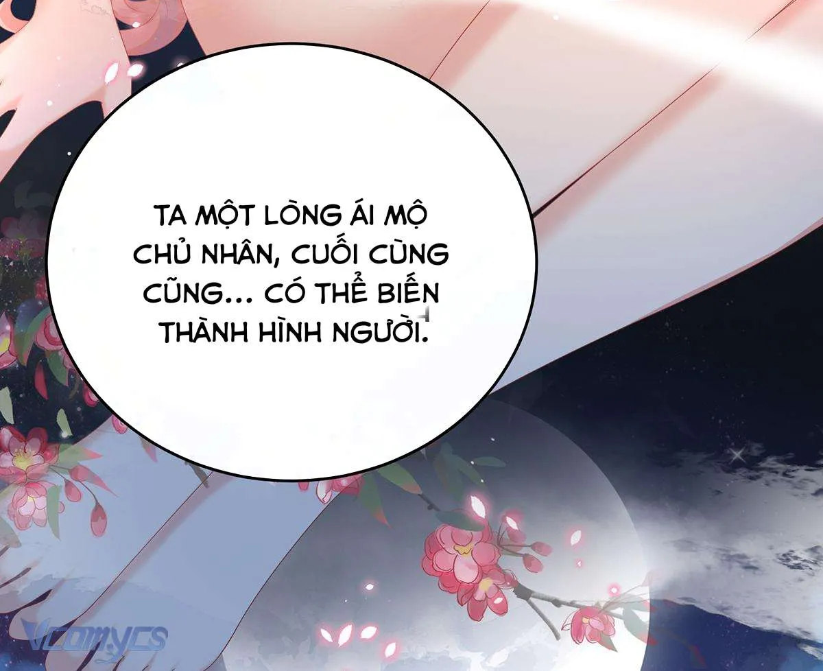 Kiều Phu Có Hỷ Chap 77 - Next Chap 78