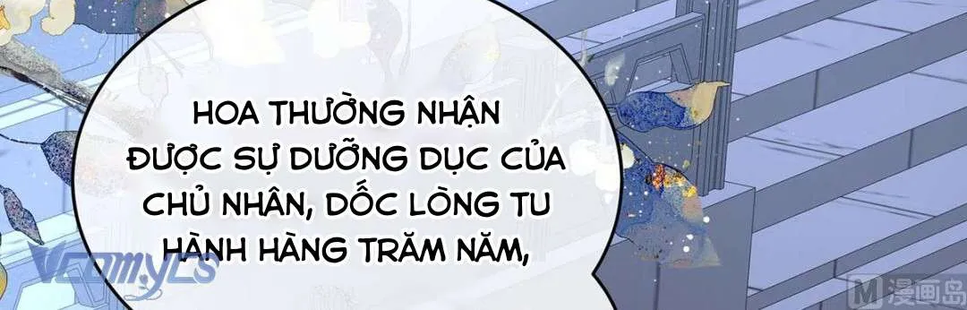 Kiều Phu Có Hỷ Chap 81 - Next Chap 82