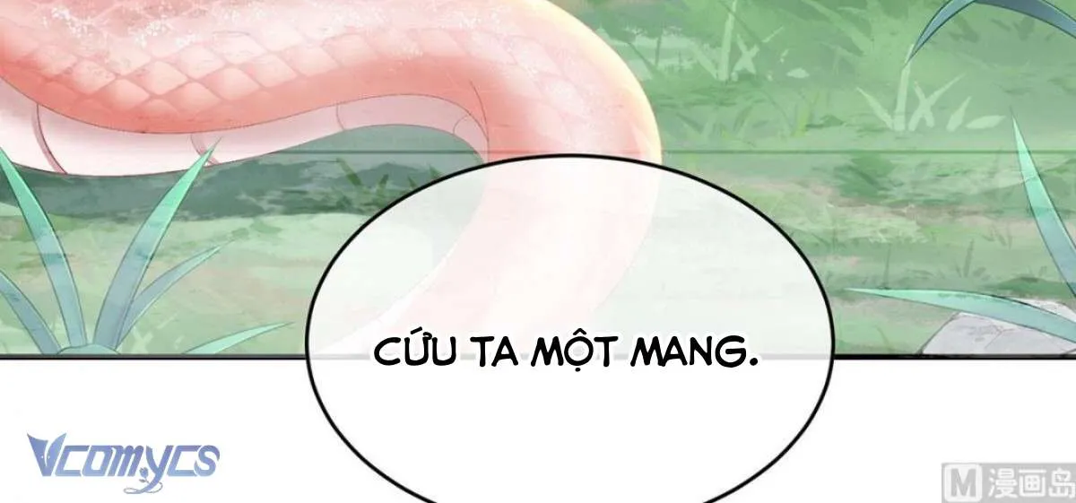 Kiều Phu Có Hỷ Chap 90 - Next Chap 91