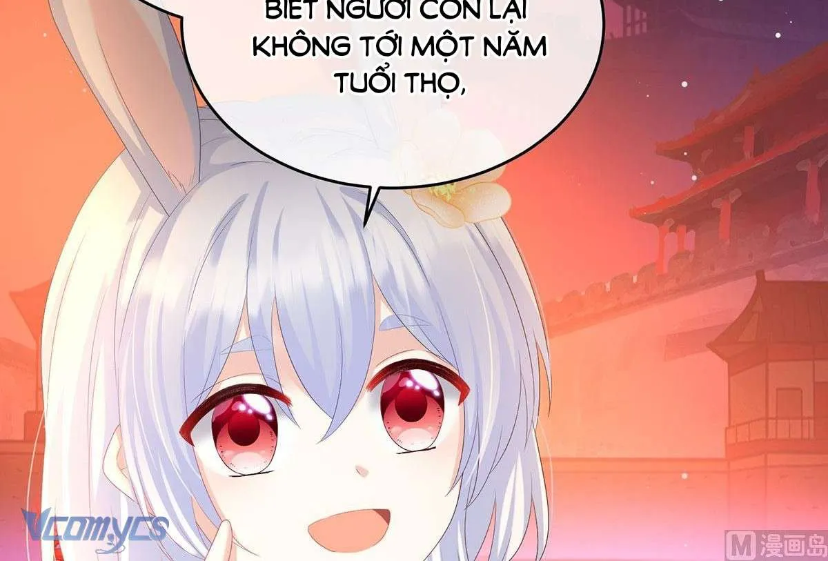 Kiều Phu Có Hỷ Chap 96 - Next Chap 97