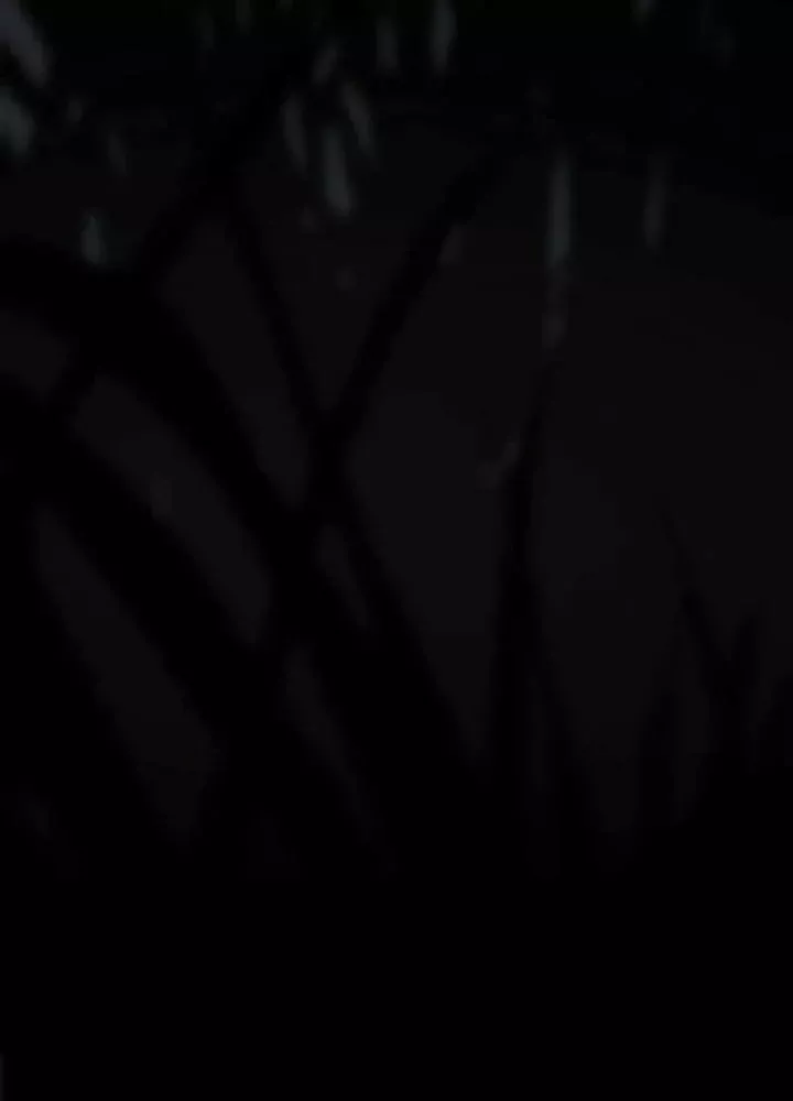 Kim Chiến Sĩ: Hành Trình Xây Dựng Đặc Tính Chap 76 - Next Chap 77