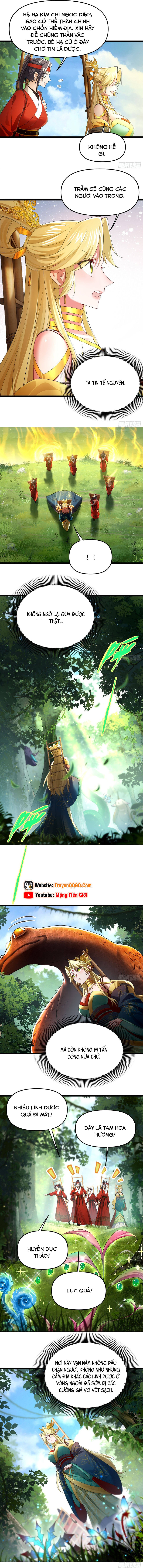 Kim Đan Là Hằng Tinh, Ngươi Gọi Đây Là Tu Tiên À? Chap 8 - Next Chap 9