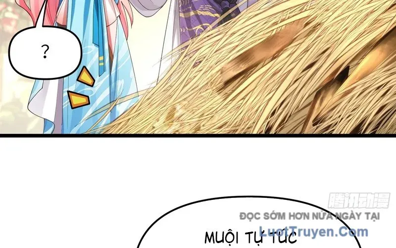 Kim Đan To Bằng Hằng Tinh! Ngươi Gọi Đây Mà Là Tu Tiên Á?! Chap 3 - Next Chap 4