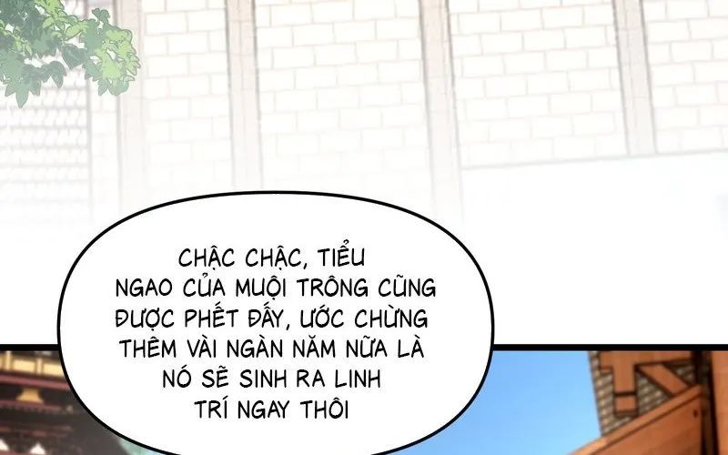 Kim Đan To Bằng Hằng Tinh! Ngươi Gọi Đây Mà Là Tu Tiên Á?! Chap 5 - Next Chap 6