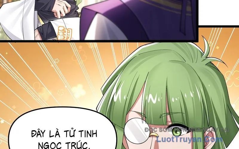 Kim Đan To Bằng Hằng Tinh! Ngươi Gọi Đây Mà Là Tu Tiên Á?! Chap 5 - Next Chap 6